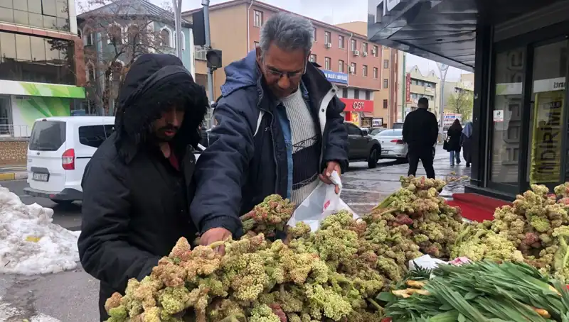 Kendiliğinden Yetişen Şifalı Bitki: Kanserle Savaşta Yeni Umut