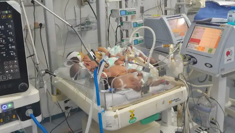 Gazze'deki Doktorlar, Kuvöz Kriziyle Baş Etmekte Zorlanıyor: Dramatik Durum!